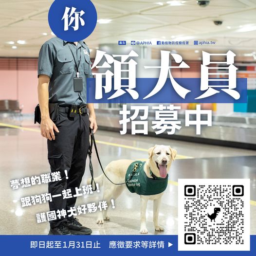農業部動植物防疫檢疫署公告「檢疫犬領犬員」招募訊息。 圖：取自動植物防疫檢疫署臉書