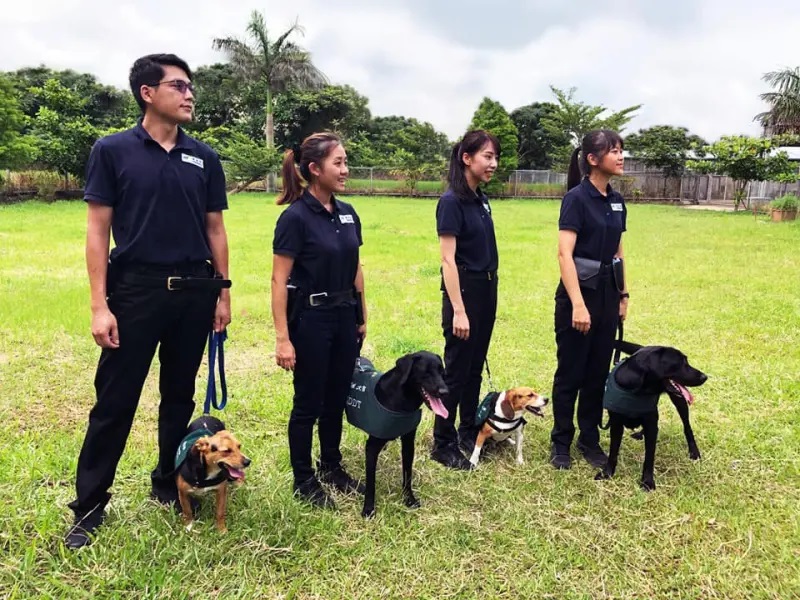 跟檢疫犬一起上班。 圖：取自動植物防疫檢疫署臉書
