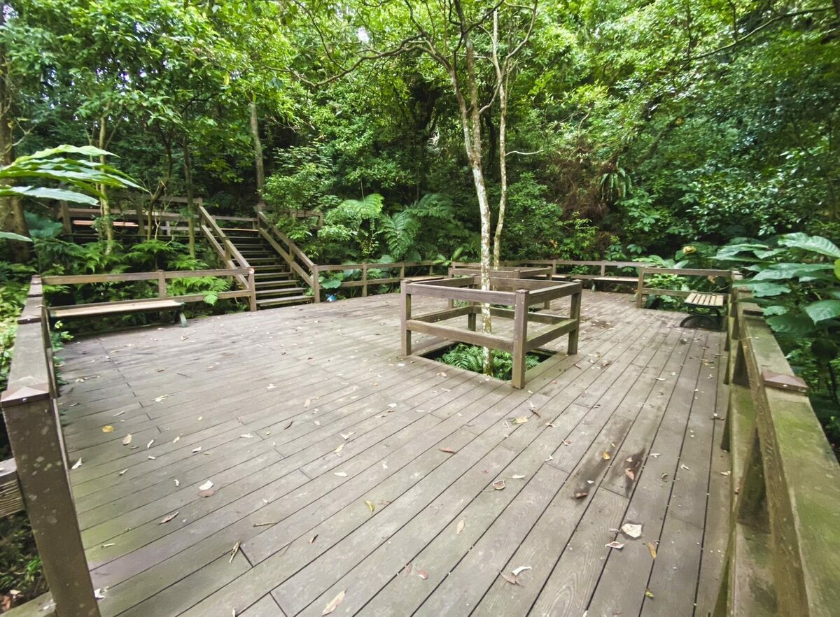 沿著步道走，可以看到許多軍事遺跡，特別的是，還有許多生態奇景。 圖：翻攝自台北市政府工務局公園路燈工程管理處官網