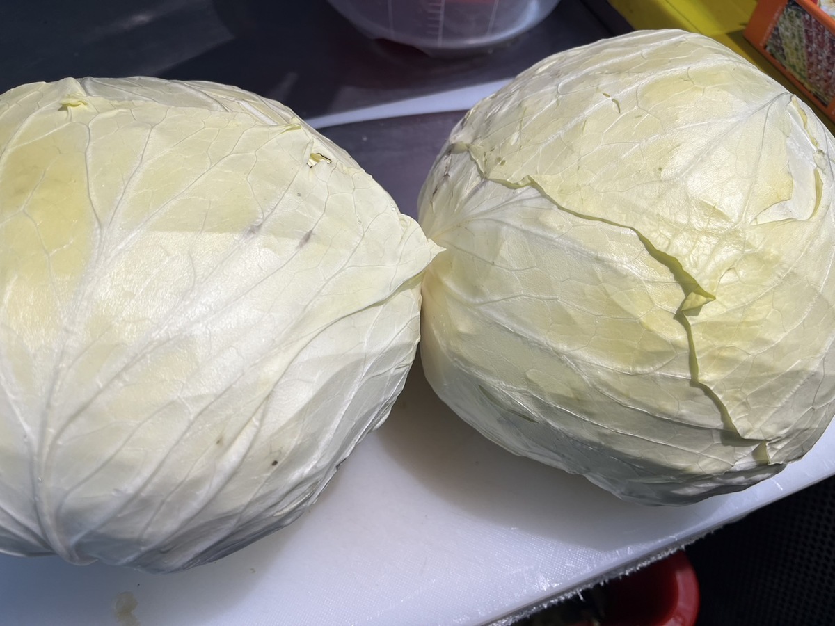 菜量過多導致價格偏低，部分菜市場可看到一顆30元的高麗菜。 圖：謝慈薇／攝