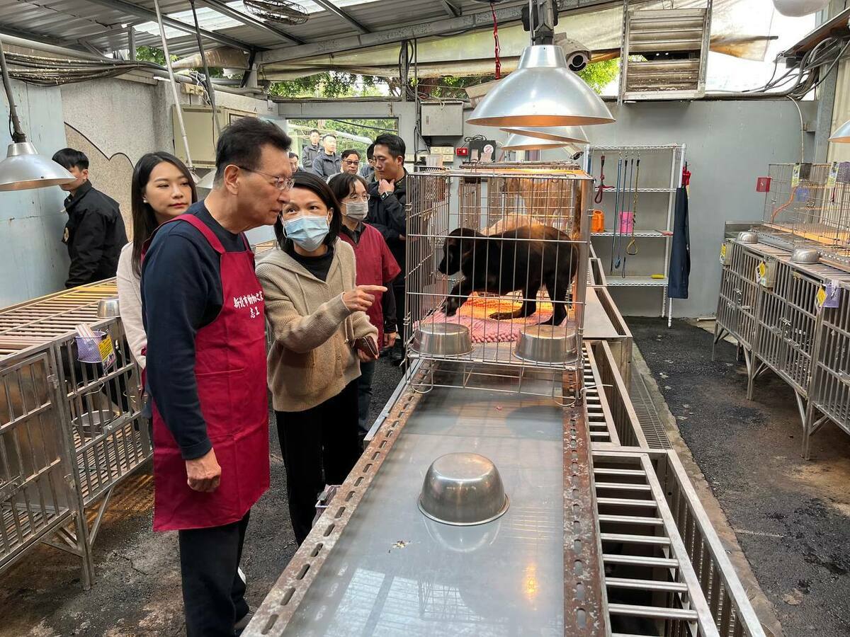 國民黨副總統候選人趙少康參訪板橋動物之家。 圖：趙少康辦公室/提供