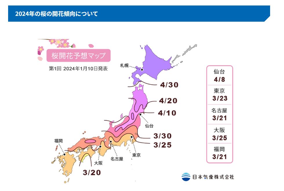 日本氣象株式會社公布2024各地「櫻花盛開」預報。 圖：翻攝自「日本氣象株式會社」官網