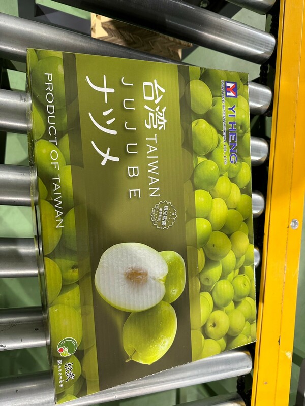 屏東蜜棗進行低溫處理準備銷往日本。 圖：屏東縣政府農業產銷科／提供