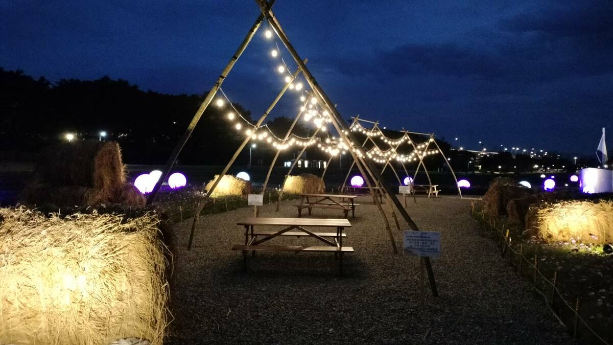 串串燈光點綴的帳篷為花海帶來另一種浪漫。 圖：台北市政府工務局水利工程處／提供
