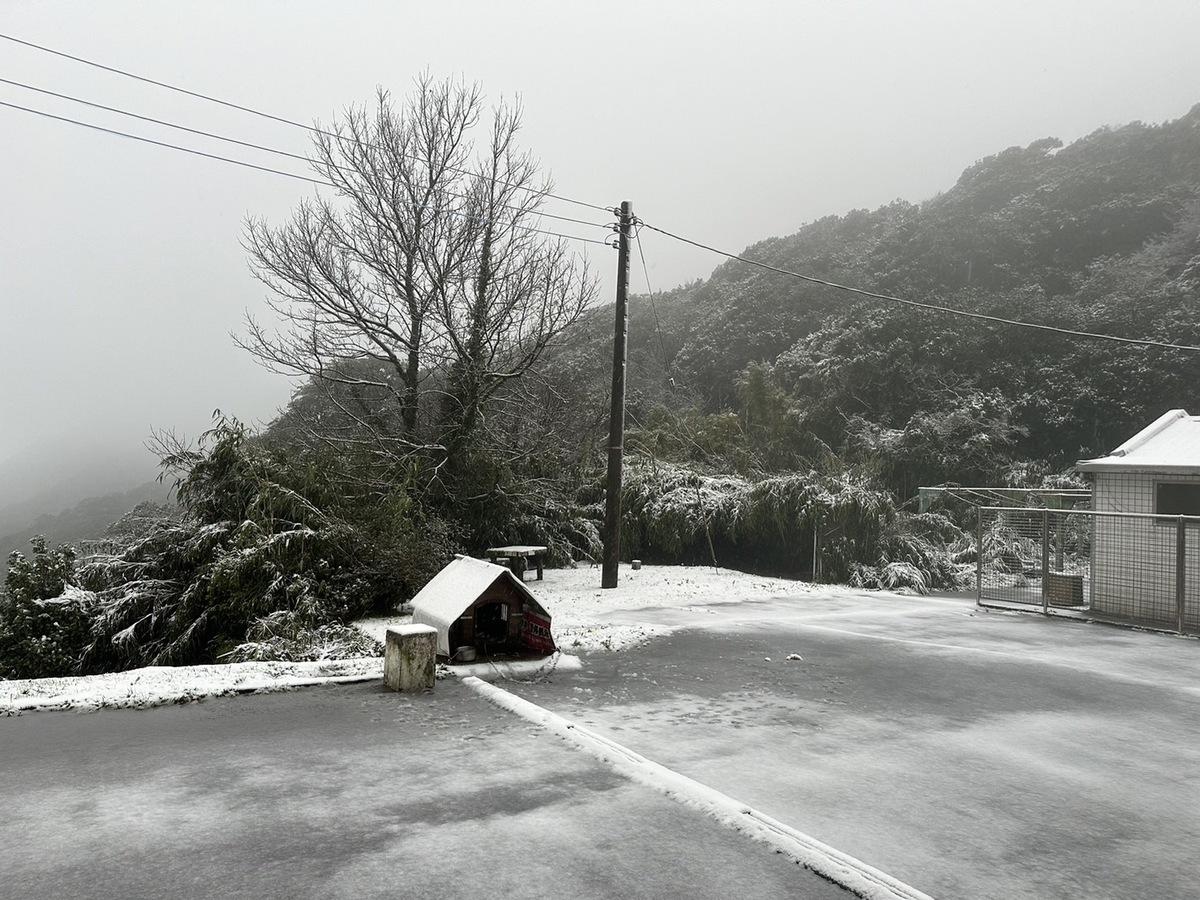 今(23)日早上陽明山鞍部降雪。(圖為陽明山鞍部) 圖：中央氣象署／提供