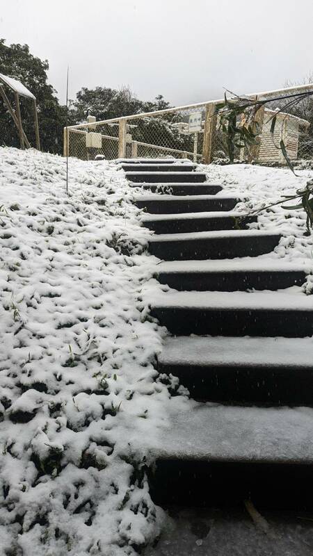 陽明山鞍部氣象站、二子坪、大屯山也出現雪訊。(圖為鞍部氣象站) 圖：中央氣象署／提供