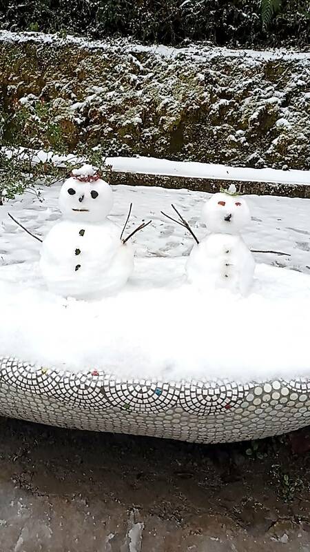 拉拉山國家森林遊區今日一早即降下瑞雪。 圖：取自拉拉山國家森林遊樂區