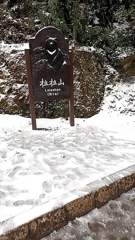 拉拉山下雪，因此現場將機動採行車輛管制措施，僅開放加掛雪鏈車輛進入，其餘車輛將全數管制進入，遊客需步行入園。 圖：取自拉拉山國家森林遊樂區