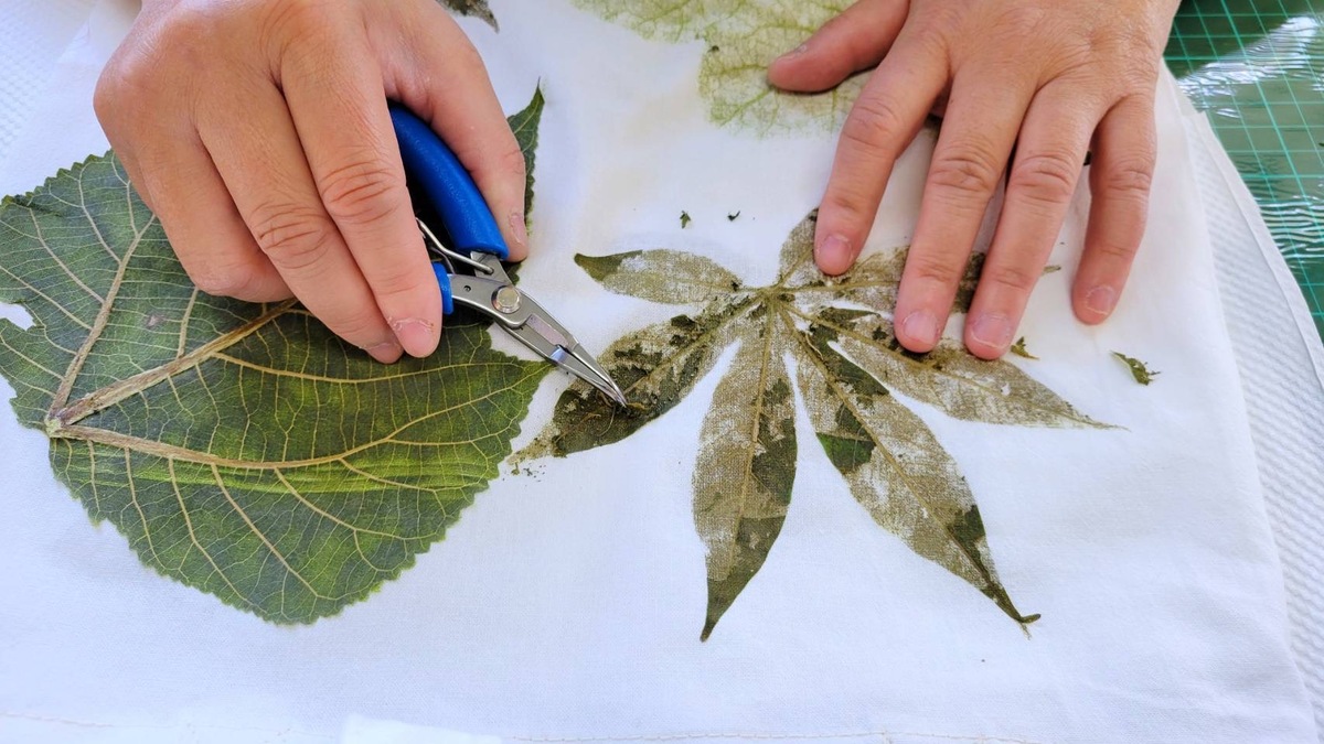 園區植物手作移染。 田中窯創藝園區/提供