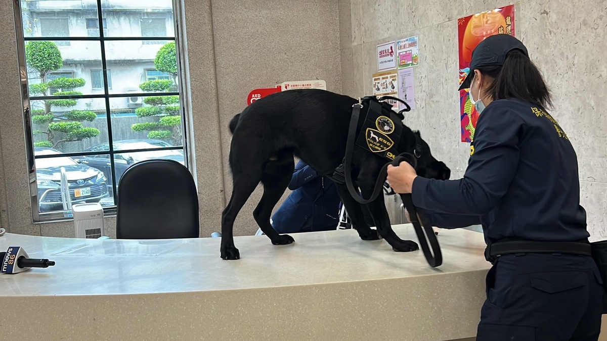 刑事警察局電子產品偵測犬「Wafer」。 圖：刑事警察局提供