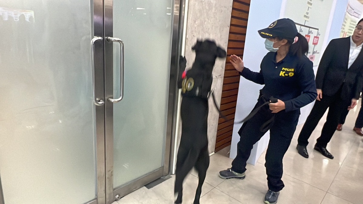 刑事警察局電子產品偵測犬「Wafer」。 圖：刑事警察局提供