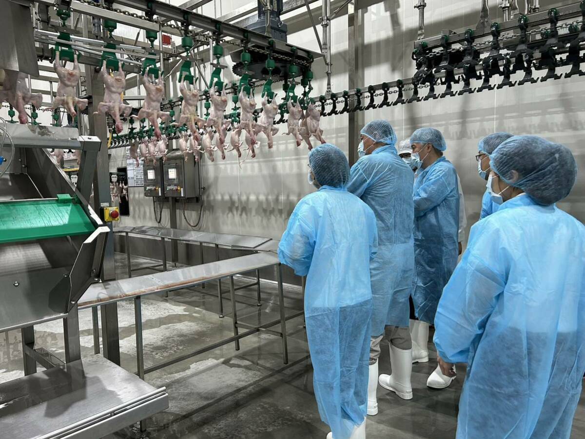 農業部自109年起修訂屠宰作業準則，並推動HACCP驗證制度。截至目前，已有25家屠宰場通過驗證，並拓展日本、菲律賓等國際市場。 圖：農業部／提供