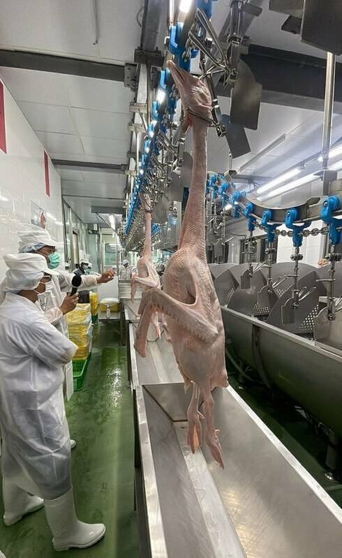 農業部自109年起修訂屠宰作業準則，並推動HACCP驗證制度。截至目前，已有25家屠宰場通過驗證，並拓展日本、菲律賓等國際市場。 圖：農業部／提供