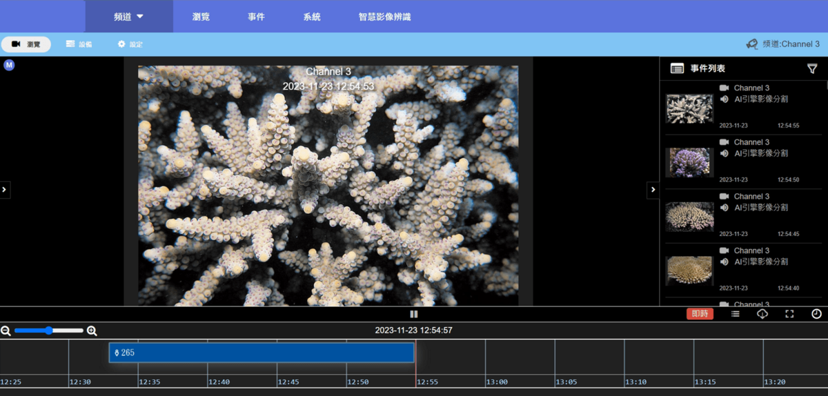 AI珊瑚偵測與辨識系統。 圖：海委會／提供