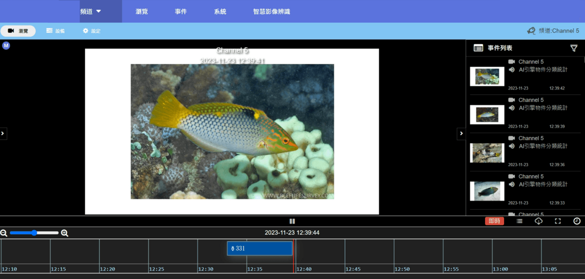 AI珊瑚礁魚種偵測與辨識系統。 圖：海委會／提供