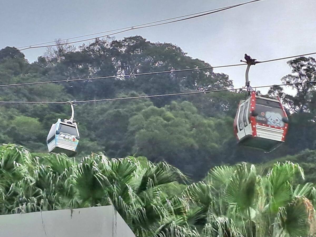 搭乘貓空纜車，馳騁於山稜線中，猶如乘坐於龍脊上，同時俯視整個山陵線的風貌。 圖：台北大眾捷運股份有限公司／提供