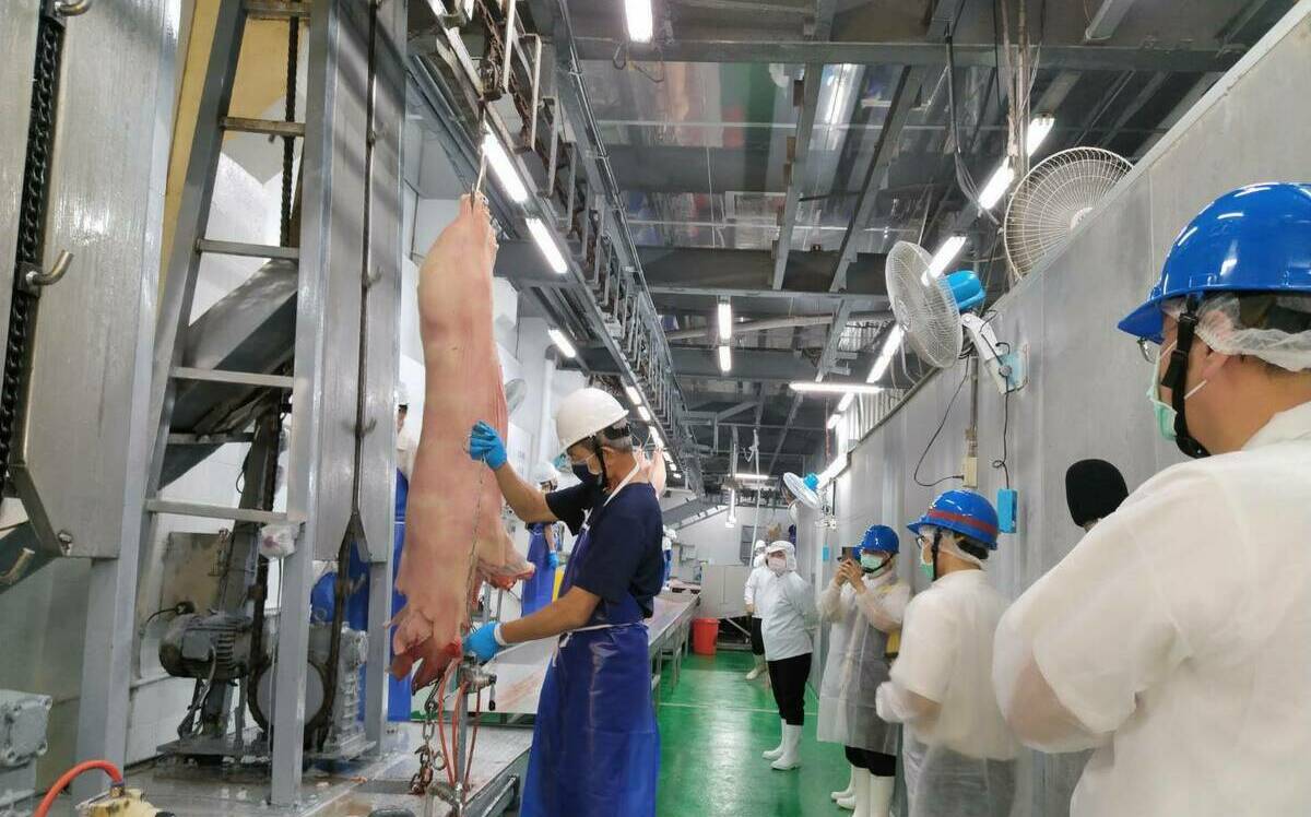 台糖肉品、豬隻飼料全部零檢出！總座喊冤：絕不購買、使用瘦肉精