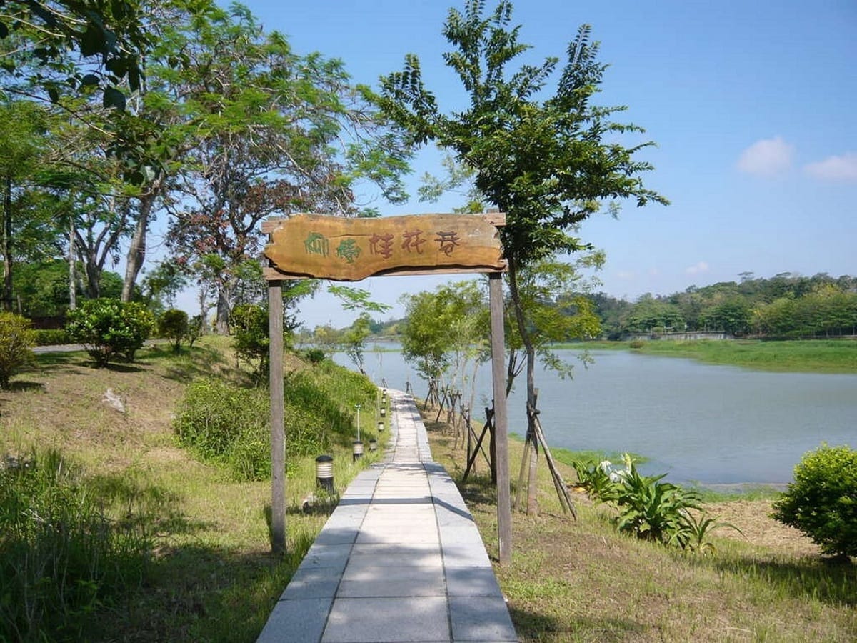 新化虎頭埤風景區環湖步道東南岸的柳樹桂花巷。 圖：台南市政府觀光旅遊局／提供