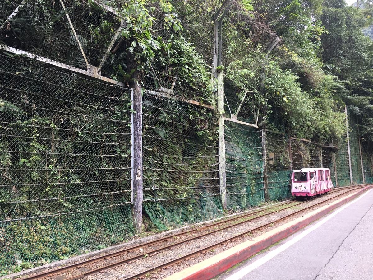 林業保育署新竹分署表示，為提供遊客更安全的行車品質，烏來台車將進行防落石網修繕工程，施工期間自3月1日起至3月31日，將暫停營運1個月。 圖：取自農業部林業及自然保育署網站