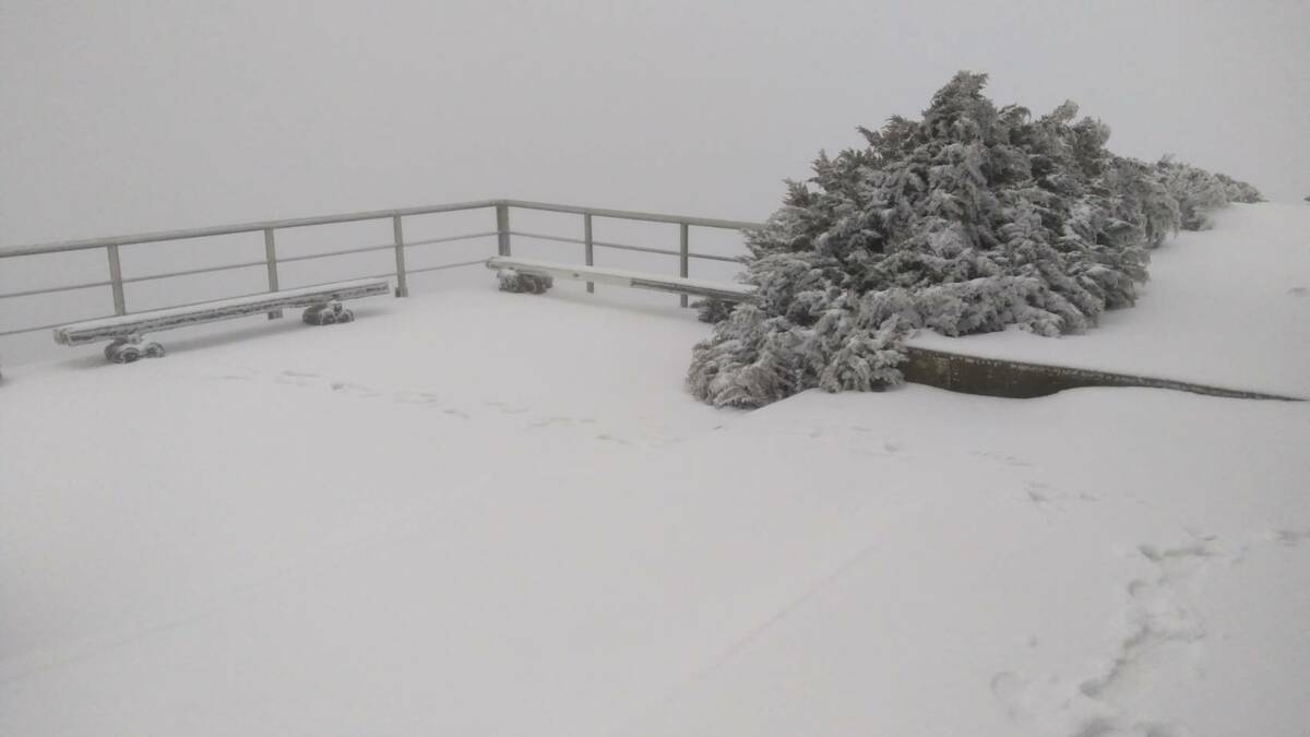 根據氣象預報，中部以北3000至3500公尺以上高山可望有降雪。 圖：中央氣象署／提供