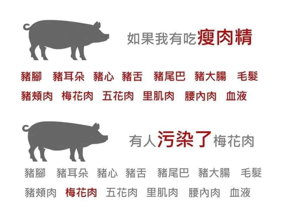 針對農業部擴大清查後均未檢出該乙型受體素，王定宇質疑，同隻豬僅有梅花肉（上肩胛肉）的部位遭檢出，有無可能最初檢測實驗室發生污染事件？ 圖：取自王定宇臉書