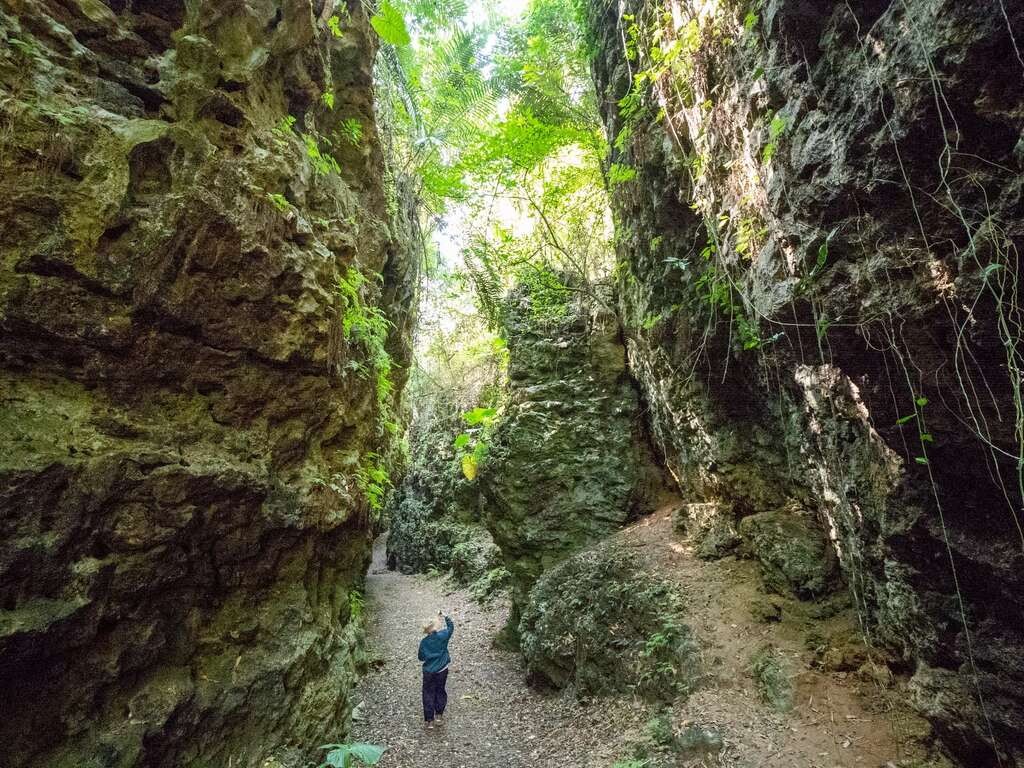 大崗山風景區。 圖：高雄市觀光局/提供