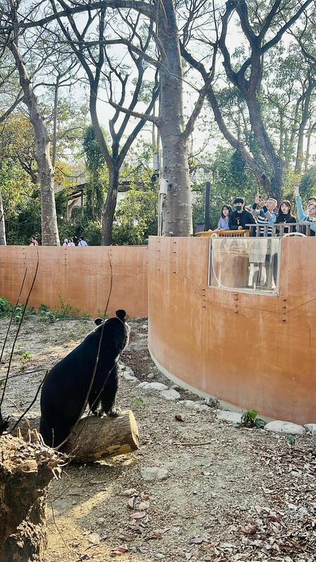 波比受到眾多遊客喜愛。 圖：翻攝自壽山動物園FB