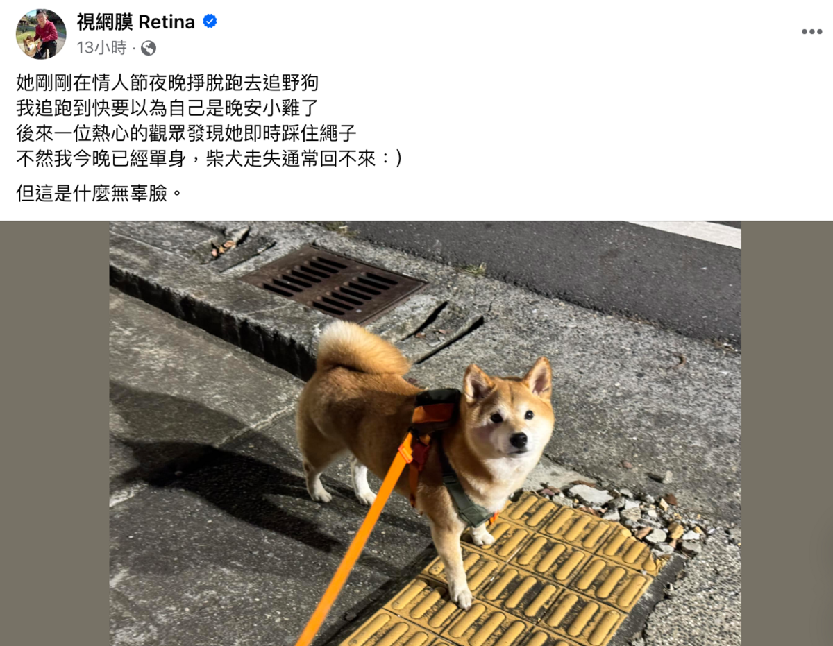 視網膜情人節時分享愛犬柚子在散步途中突然掙脫牽繩，跑去追野狗，視網膜一陣追跑才終於抓住柚子。 圖：翻攝自視網膜FB
