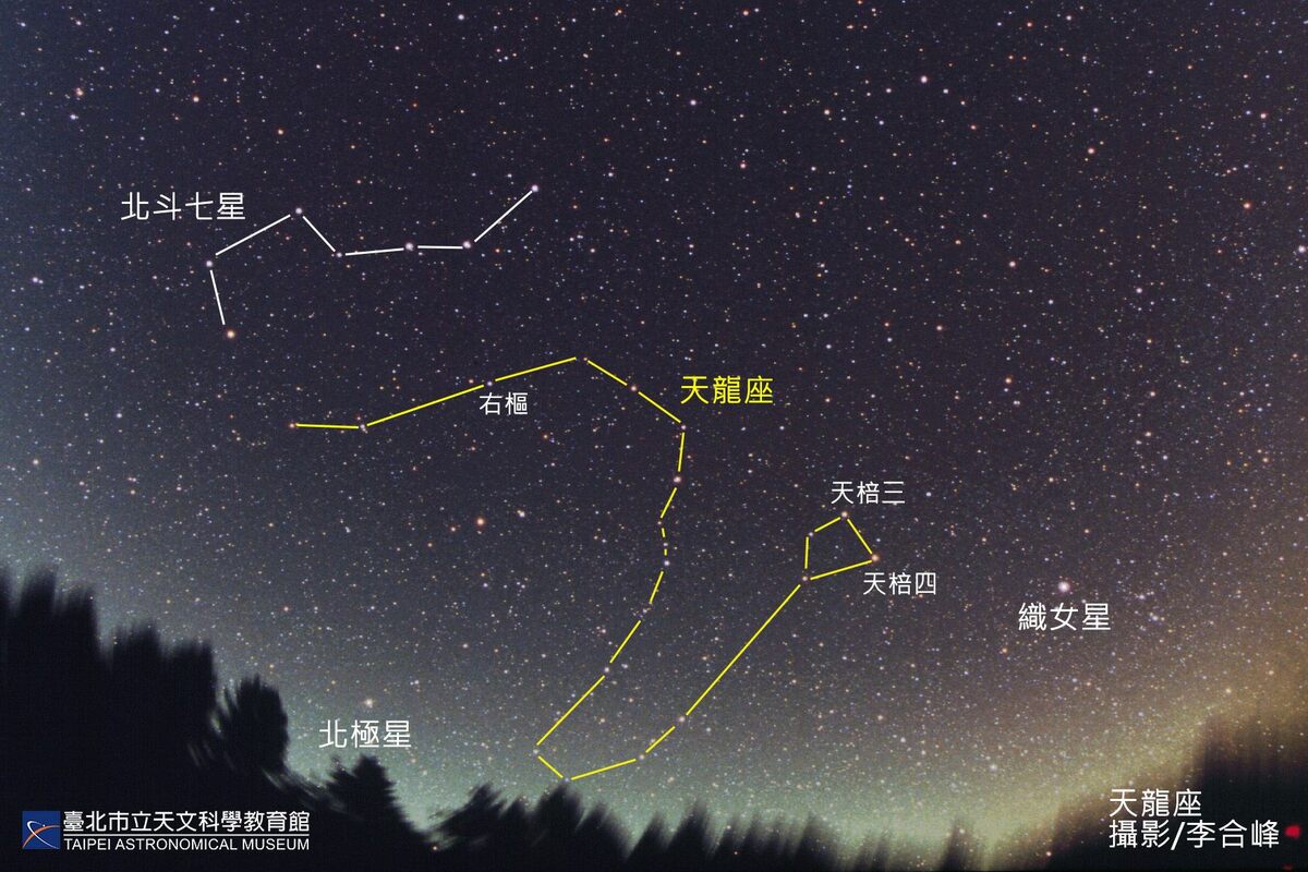 西洋星座也不惶多讓，同樣有一條盤踞在北方天空的巨龍－天龍座，它由154顆肉眼可見的恆星組成，以S型圍繞北極星一隅，整條龍在午夜後現身於北方天空。 圖：台北市立天文科學教育館／提供