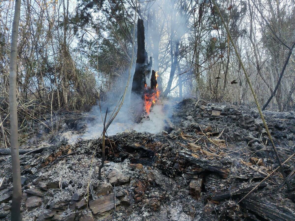 台中市和平區梨山地區大甲溪事業區第66林班地傳出森林火災。 圖：林業署台中分署／提供
