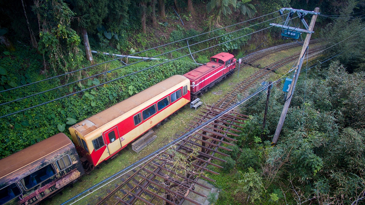 根據嘉義區林管處公告，阿里山森林鐵路營運路線將從奮起湖往阿里山延伸10公里，路網將觸及第一分道及十字路站，目前7-8月間每周一、三各以郵輪式列車方式行駛。 圖：嘉義林管處提供