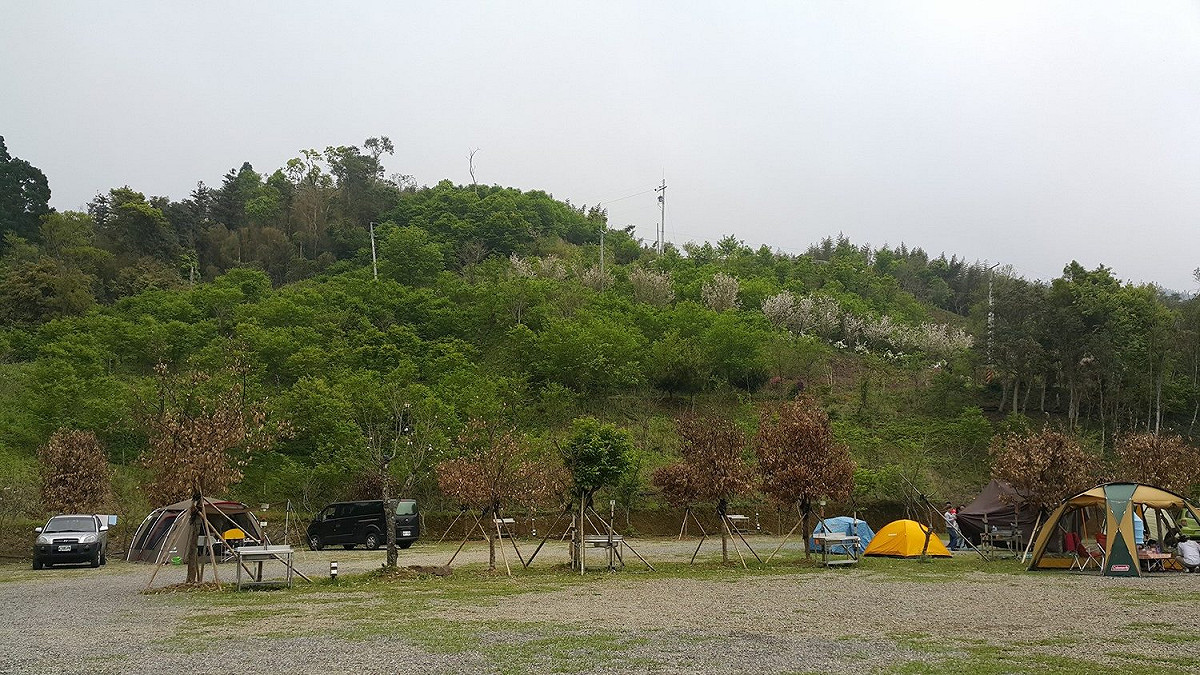 新竹天景露營區內有種植櫻花林，不同季節、不同時間都可以欣賞到美麗的風景 圖：天景露營區提供