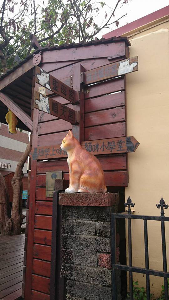 雲林頂溪社區內有許多貓咪雕塑，和遊客們玩著躲貓貓，超級可愛 圖：頂溪社區屋頂上的貓提供