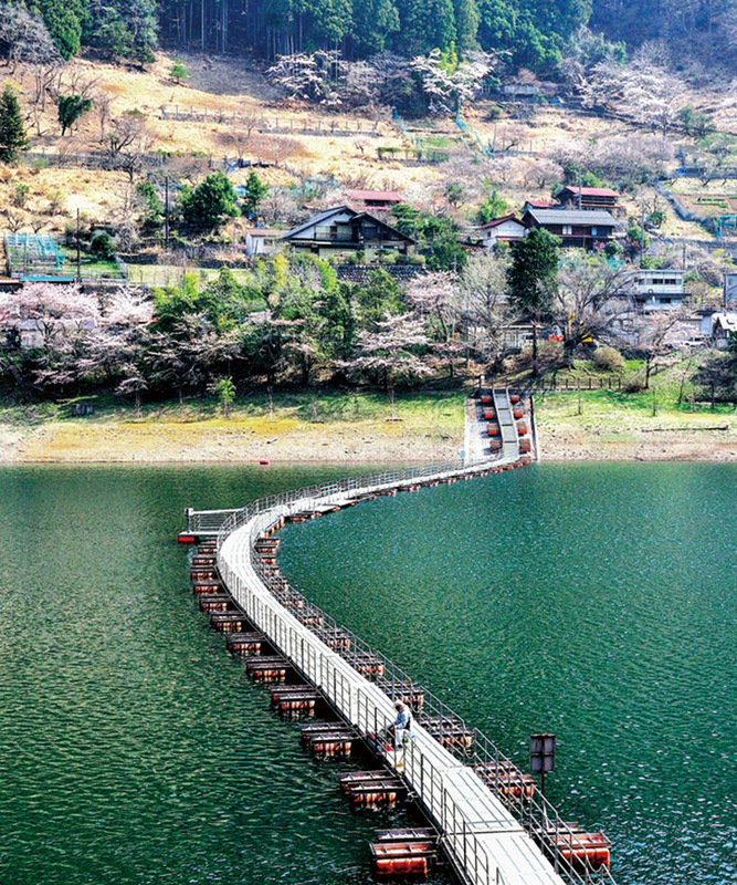走在奧多摩湖湖面上稱為「汽油桶浮橋」的歩行者専用浮橋，享受大自然環抱。 圖：東京觀光財團／提供
