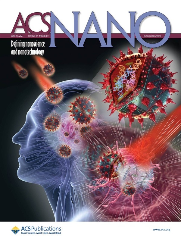 這項研究成果榮獲美國國家化學學會官方期刊《ACS Nano》的重視，被選為封面故事。 圖：長庚醫院／提供
