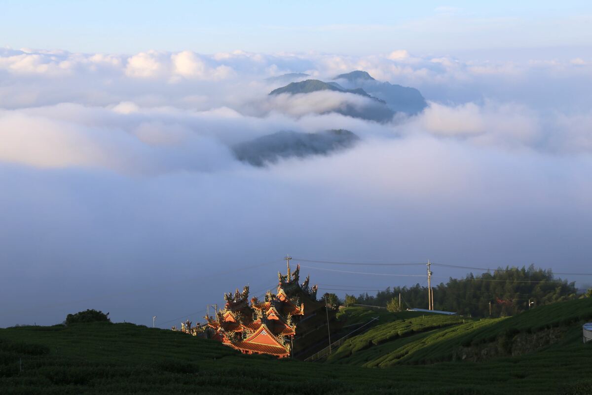 嘉義石棹地區是高山茶的重要產地，有豐富的高山景觀資源，氣象萬千的雲海。 圖：嘉義縣政府／提供