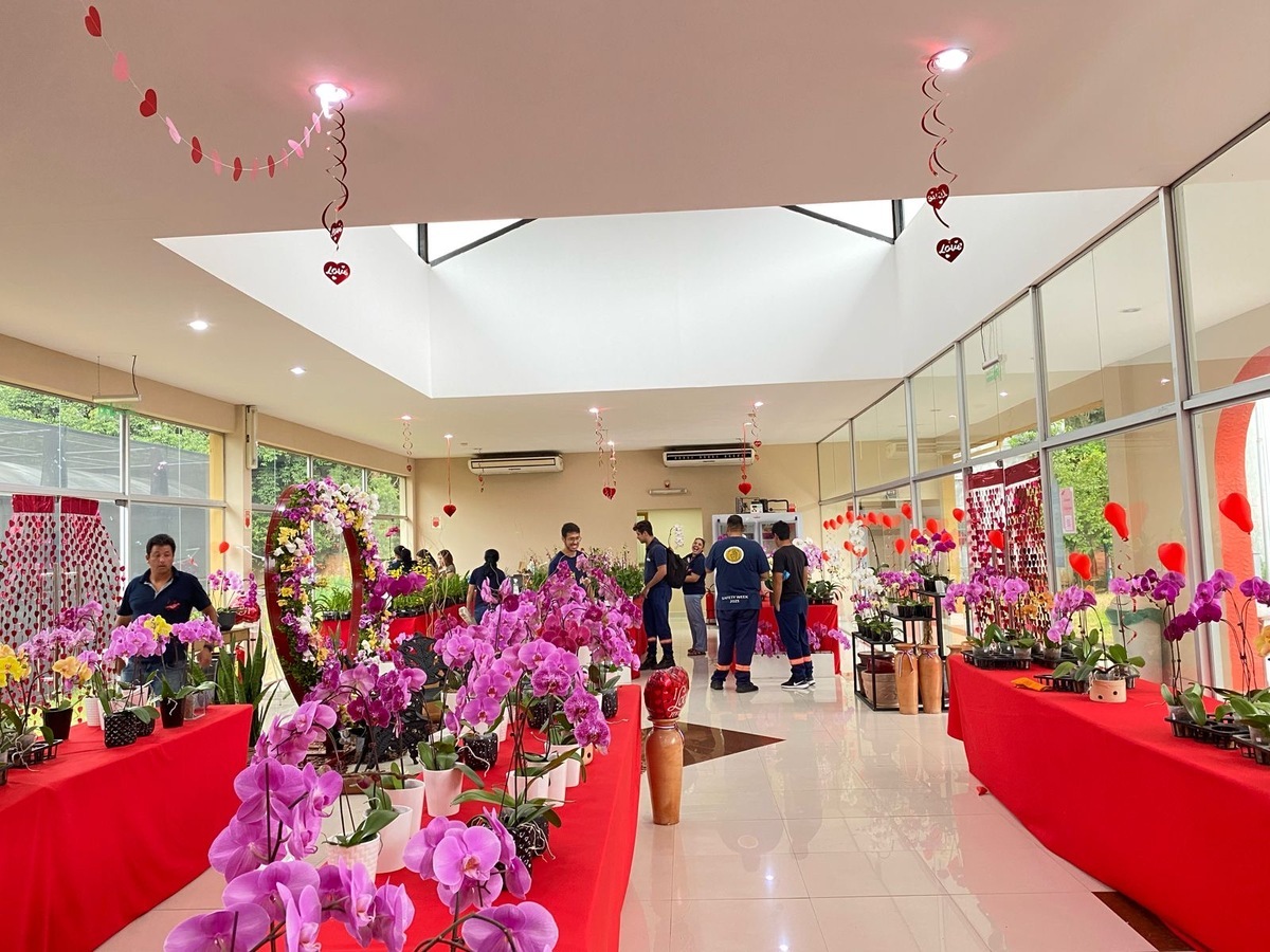 蘭花展售中心現場吸引大批民眾選購台灣蘭花。 圖：國合會/提供