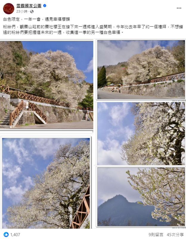 雪霸國家公園指出，今年花期比去年早了約一個禮拜，遊客可以趁著家下來的一週來賞花。 圖：翻攝自雪霸國家公園