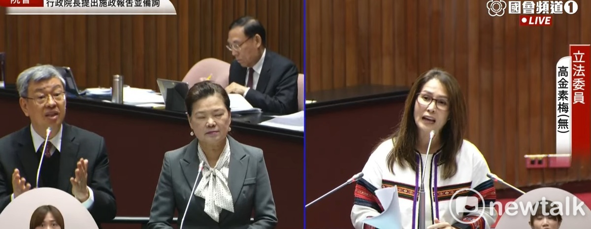 無黨籍立委高金素梅質詢行政院長陳建仁。 圖：黃建豪/攝