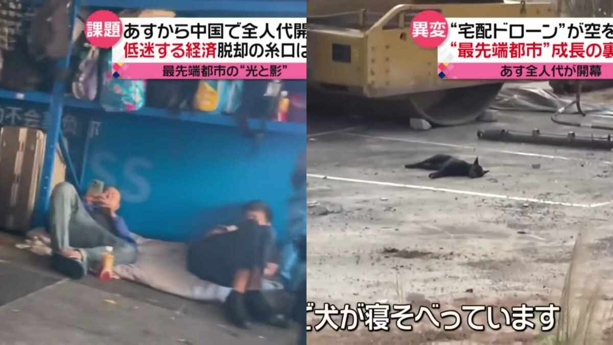 記者拍到了民工在街頭等待工作以及貓在打盹的場景。 圖 : 翻攝自Youtube帳號@ntv_news