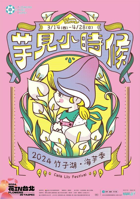 2024陽明山「海芋季」將在3月14日白色情人節登場，遊客可以趁著春暖花開的季節，上山踏青、採海芋。 圖：取自台北市政府官網