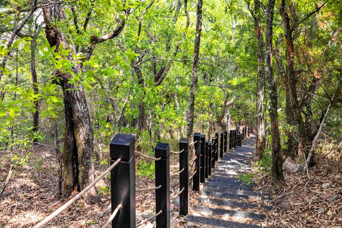 環山獵人登山步道建置工程獲得「風景遊憩類傑出獎暨年度大獎」雙料冠軍。 圖：取自參山處官網