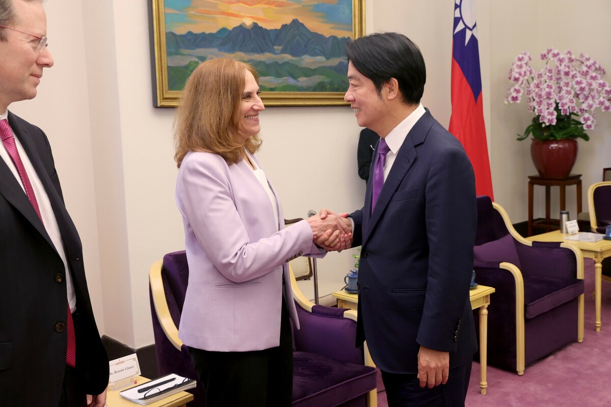 賴清德接見「華府學者代表團」。 圖：總統府提供