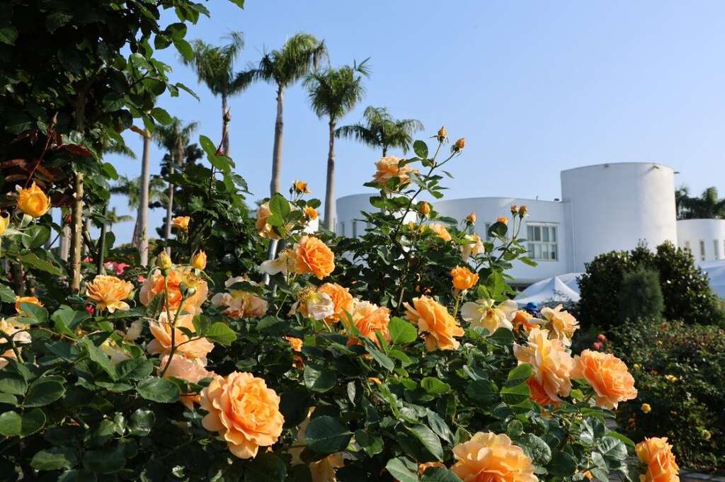 漫步在有如歐洲風情的浪漫庭園，彷彿置身凡爾賽花園中，十分浪漫。 圖：取自台北市政府觀光傳播局官網