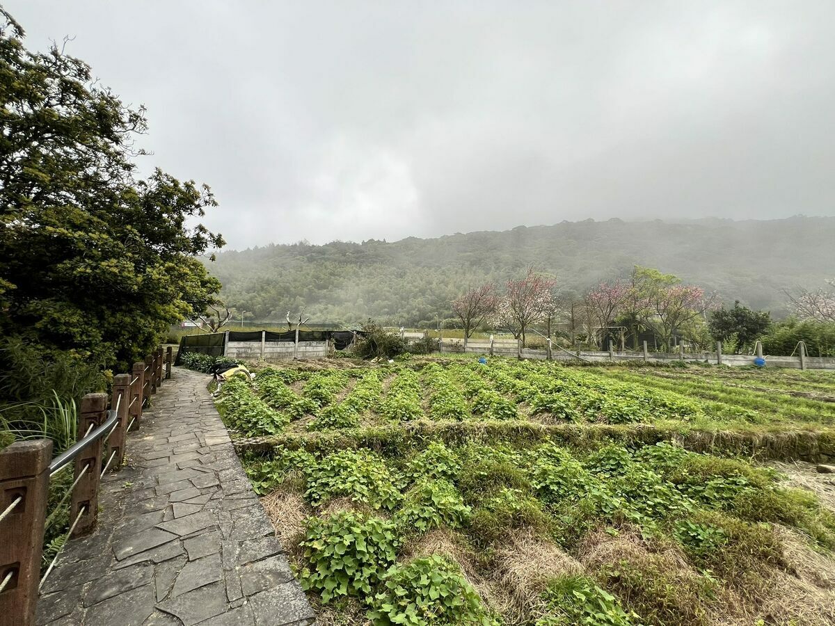 步道可以穿越溪岸、林蔭和田園，飽覽農業歷史和田園美景。 圖：台北市政府工務局大地工程處／提供