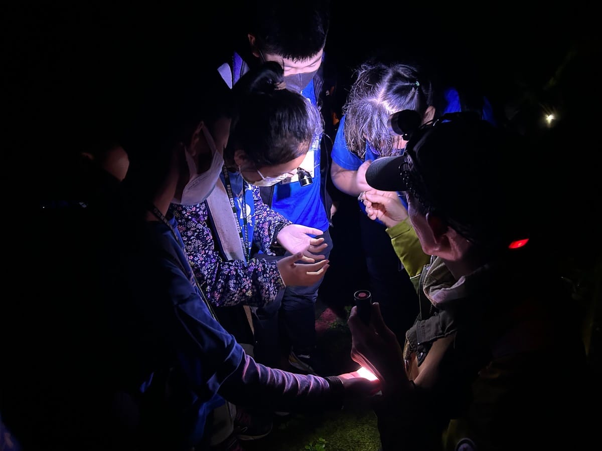 森林夜遊生態觀察。 圖：東眼山自然教育中心／提供