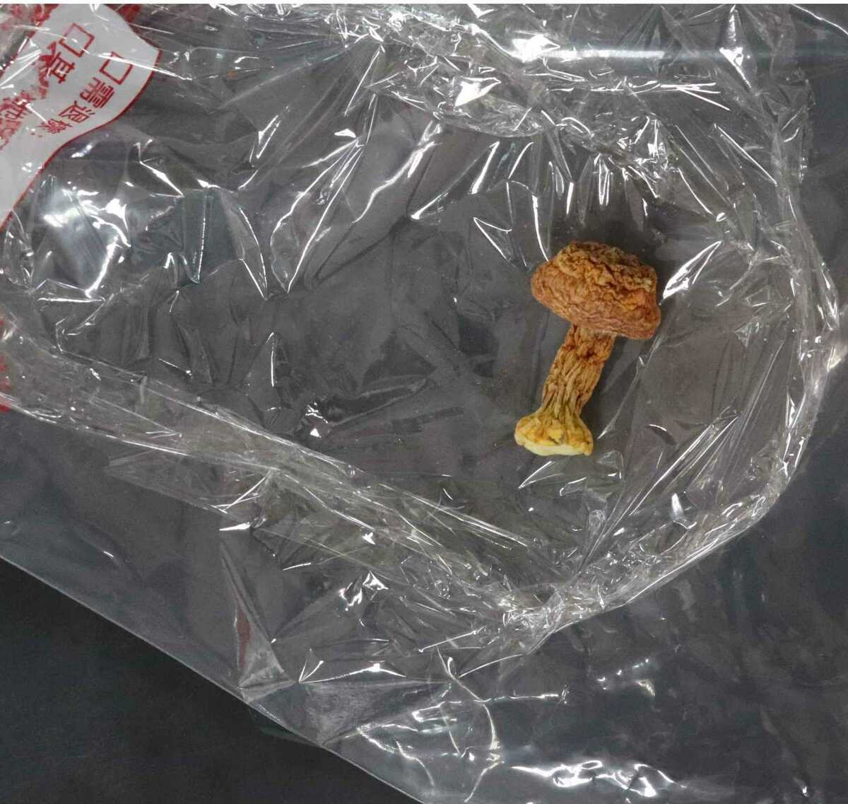 食藥署今(19)日公布，去年10月至12月市場食品抽驗結果，其中有2件巴西蘑菇檢出重金屬殘留，經地方衛生局已要求業者限期改正，已無產品可供複抽檢驗，後續將加強管理，由於業者無法提供來源，挨罰3萬元。(示意圖) 圖：食藥署／提供