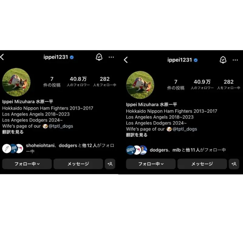 ▲洛杉磯道奇隊日籍球星大谷翔平，社群取消關注水原一平，昔日言論竟意外一語成讖。 （圖／取自社群X）nownews