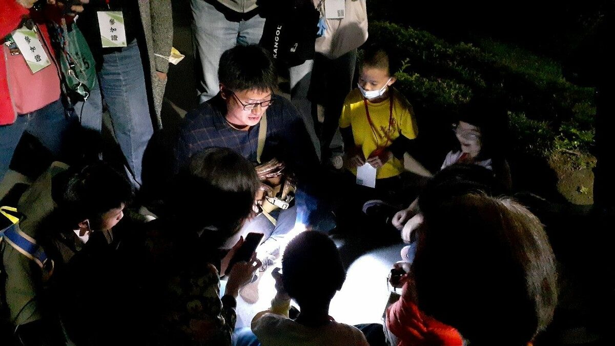 士林官邸夜間風貌的官邸夜未眠。 圖：翻攝自台北市立公園處官網