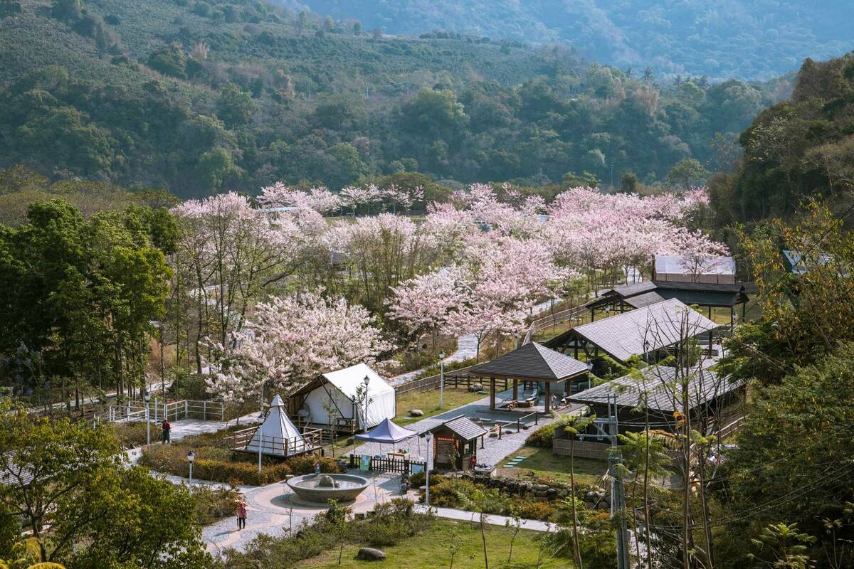 寶來花賞溫泉公園。 圖：高雄市觀光局/提供